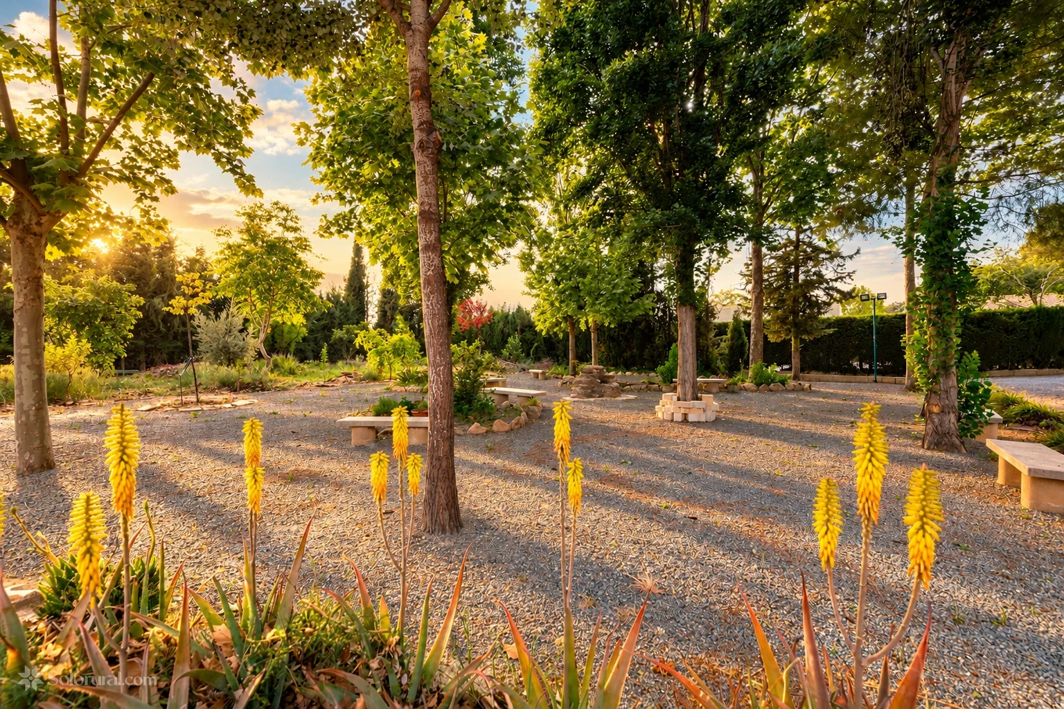 Jardín arbolado con senderos y bancos