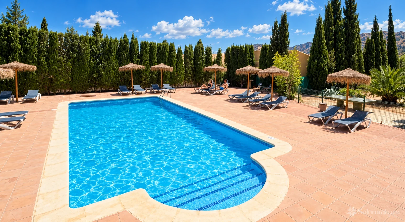Piscina compartida rodeada de tumbonas, sombrillas y árboles
