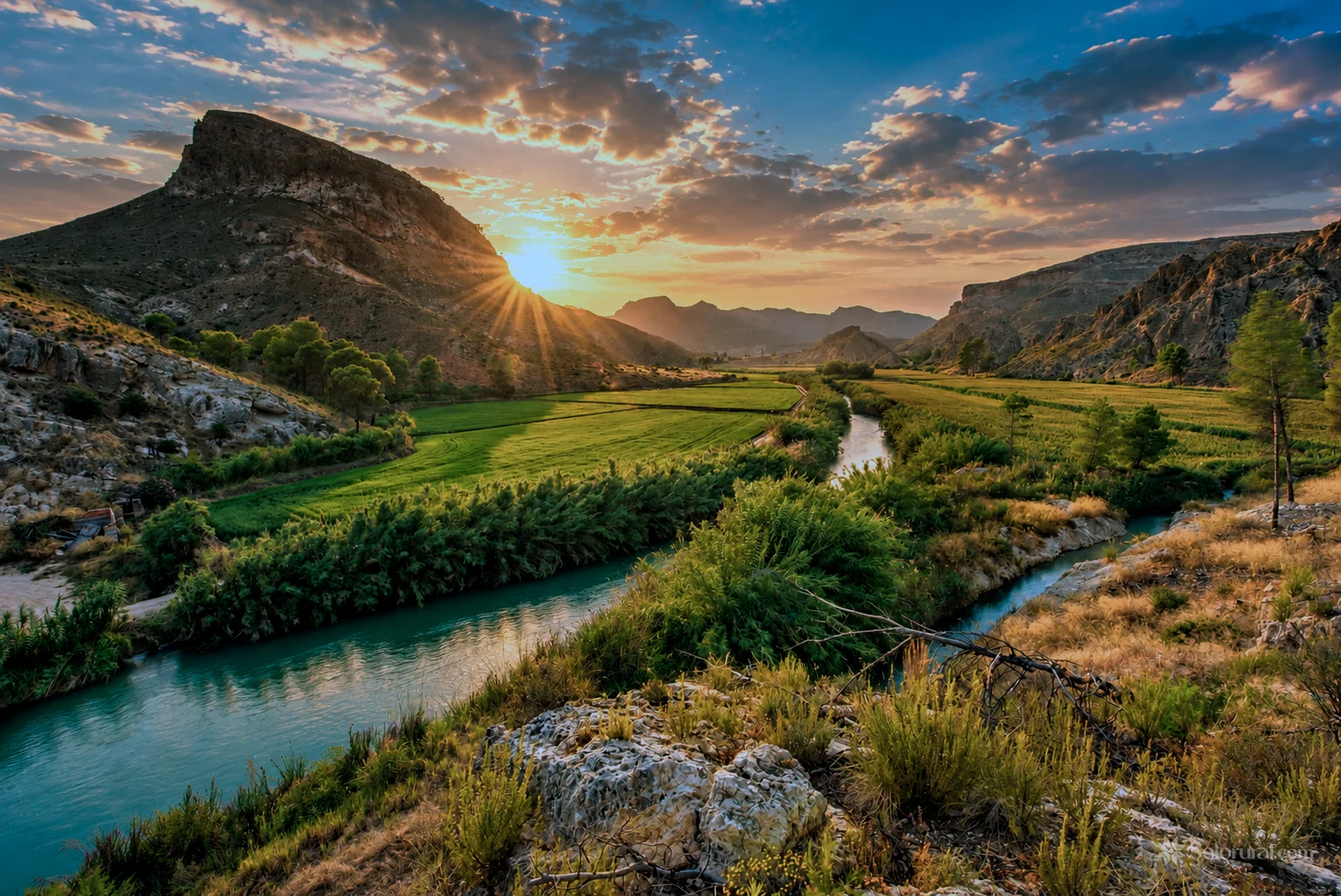 Arrozales y paisaje de Calasparra
