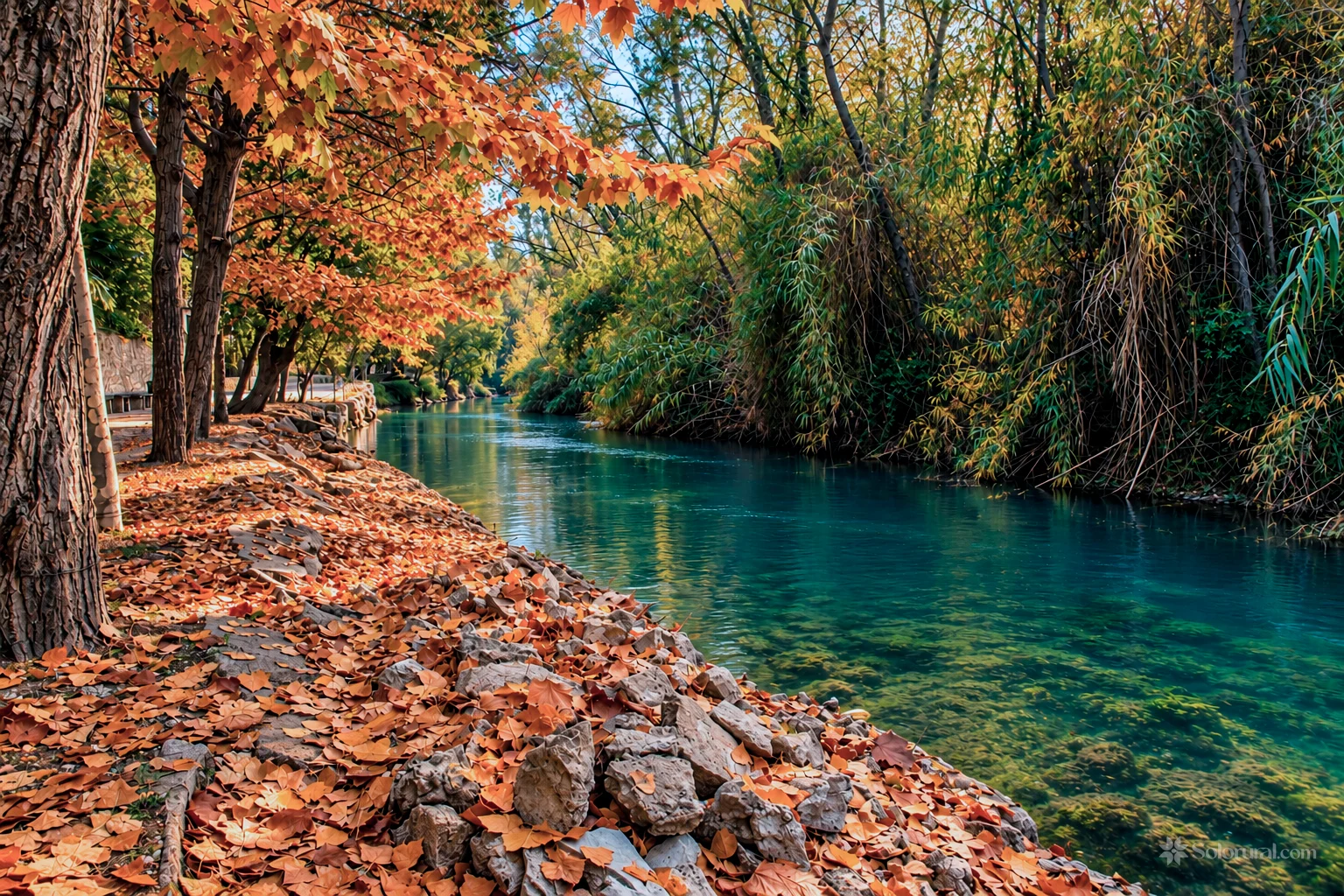 Río Segura junto al Santuario de la Esperanza