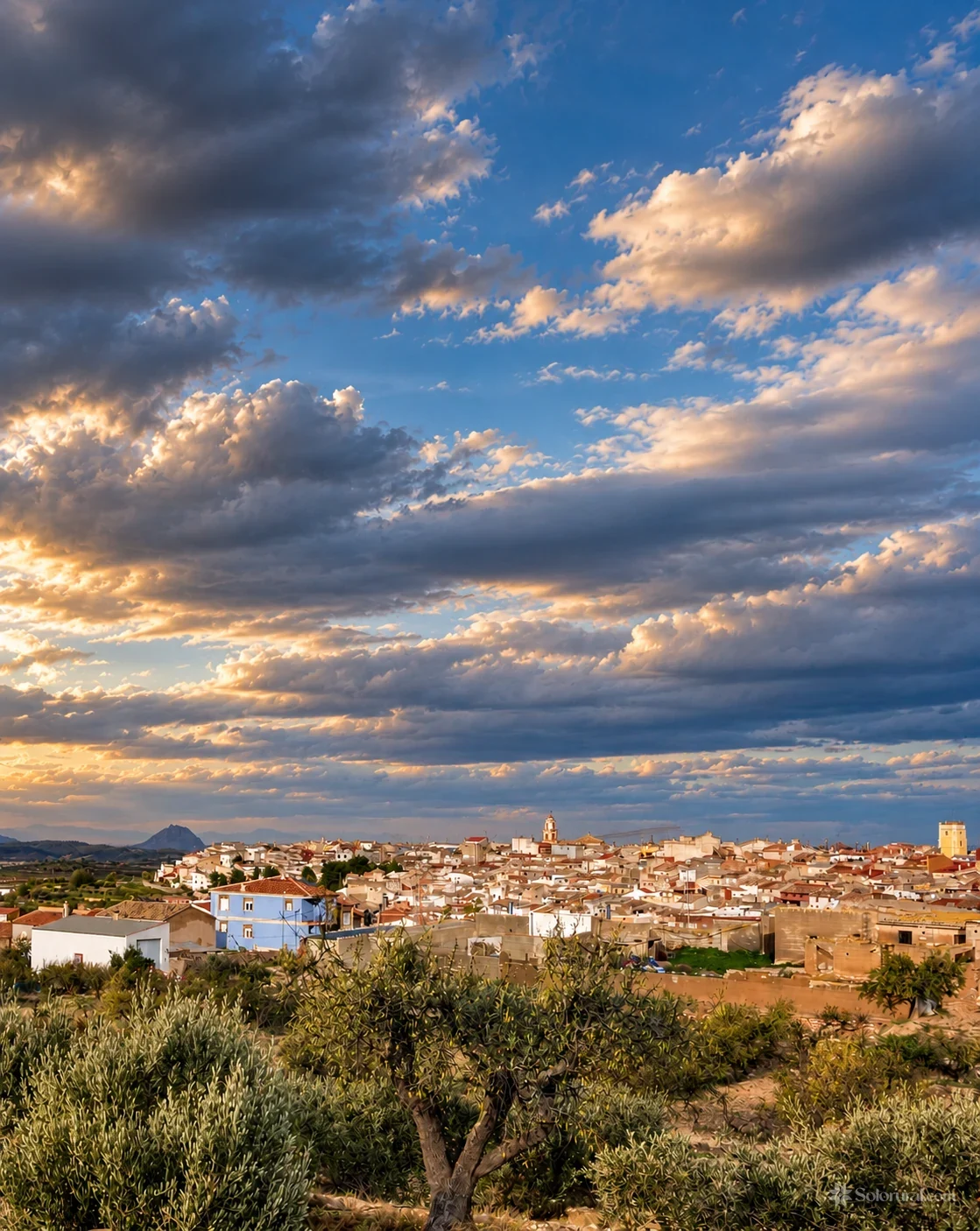 Panorámica de Bullas