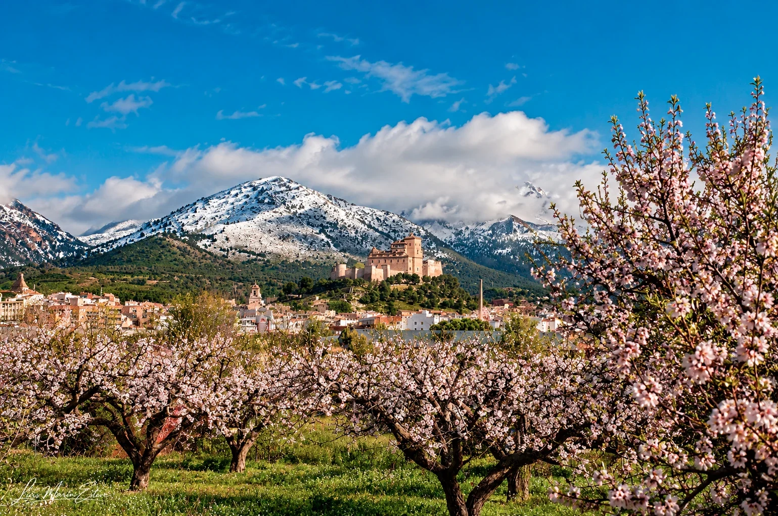 El castillo en primavera
