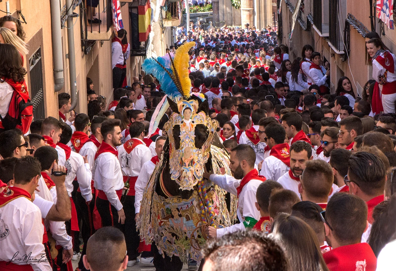 Caballos del Vino en las calles