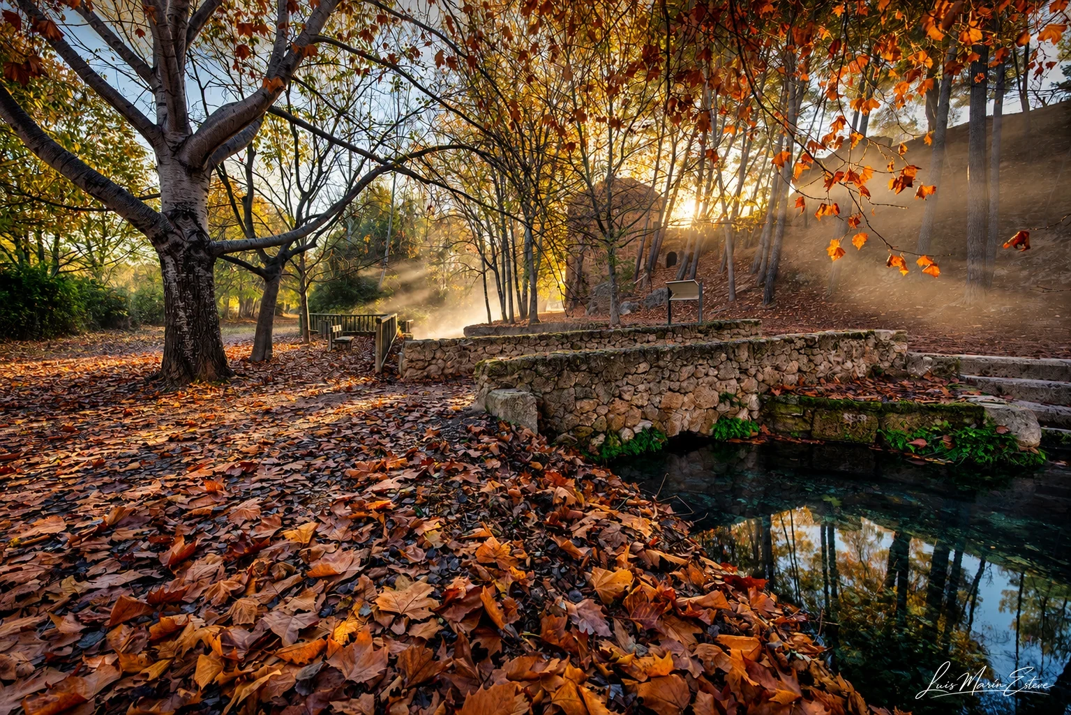 Agua y arbolado en las Fuentes del Marqués